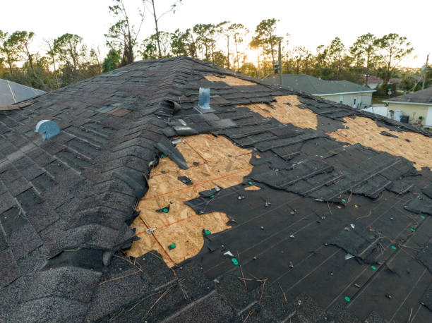 Roof Insulation Installation in Bowling Green, KY